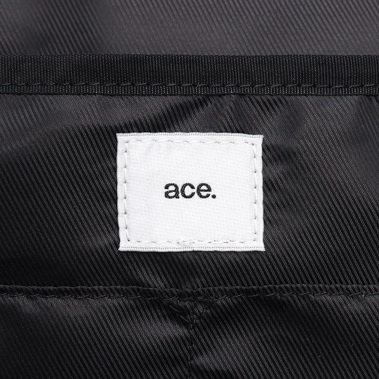 ace. Laptop Case Medium