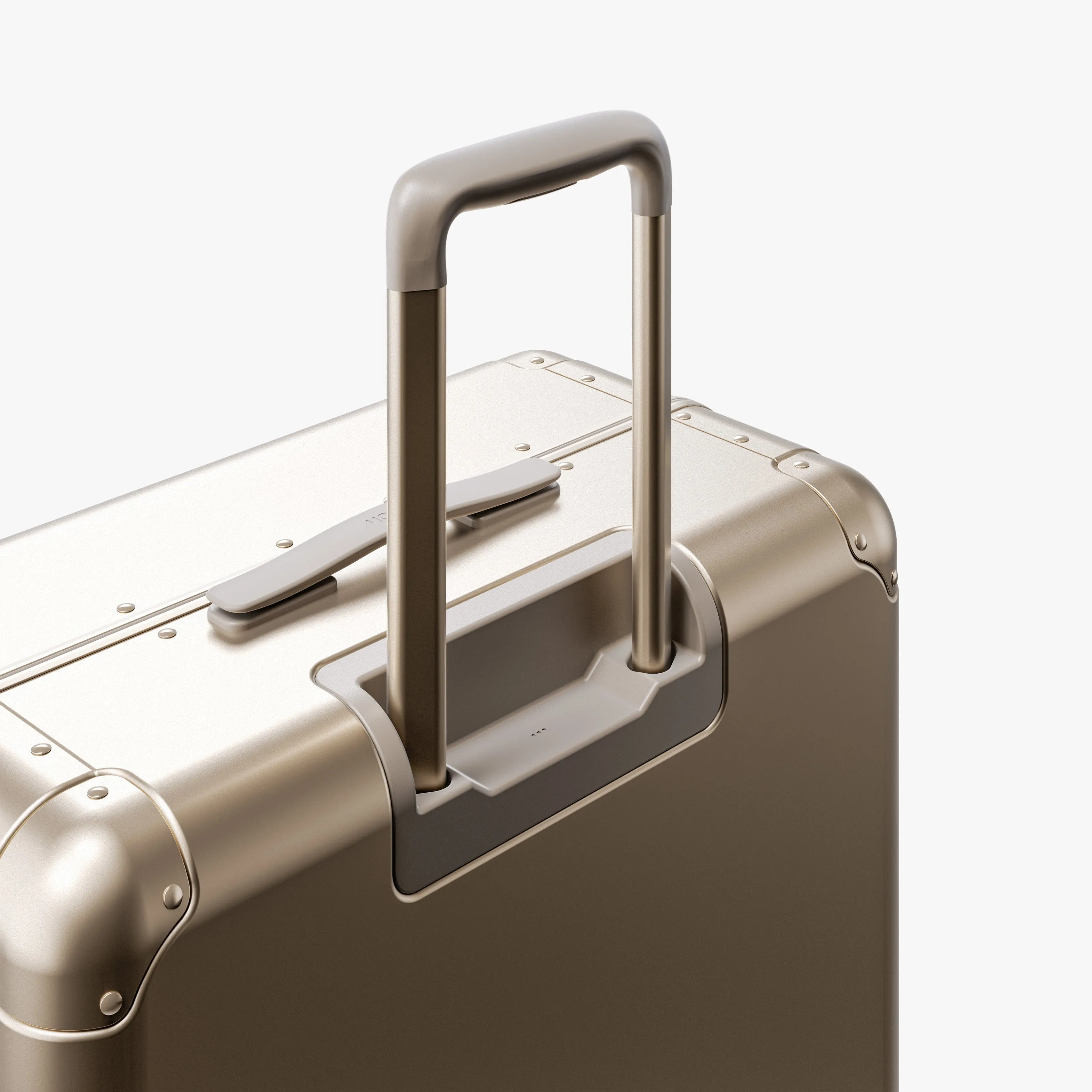Aluminum Check-In Large