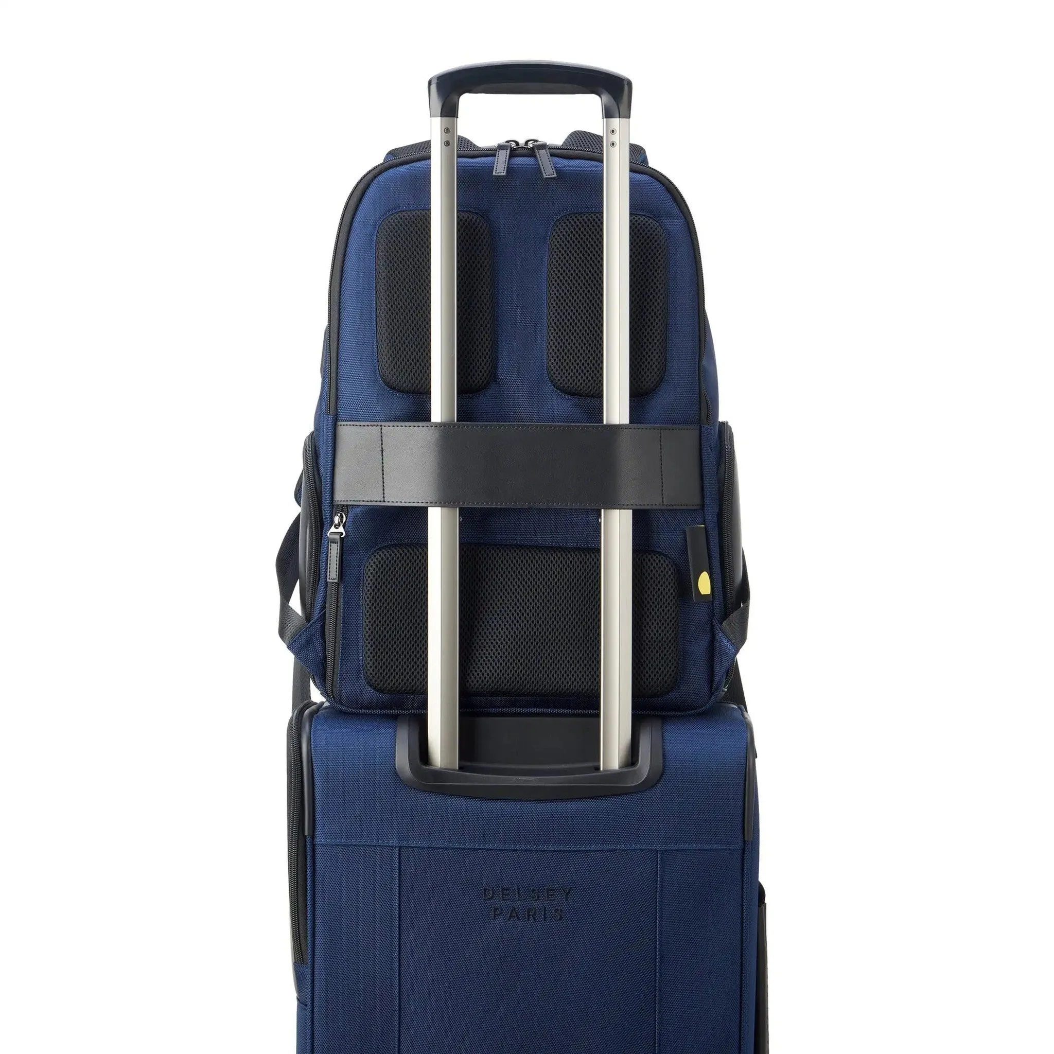 Delsey Wagram Laptop Backpack